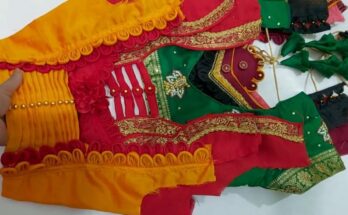 Dher saare khoobsurat back neck blouse designs